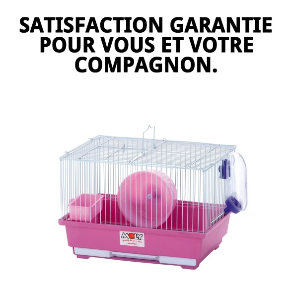 Cage pour hamster N.1 - 30x23x21 cm, démontable et pratique.