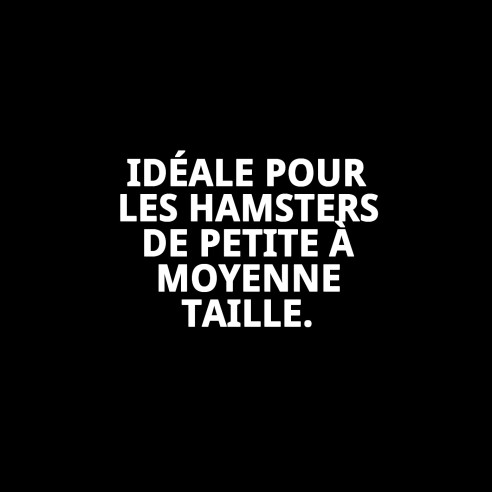 Cage pour Hamster N.2 - Compacte et Démontable 30x23x31 cm