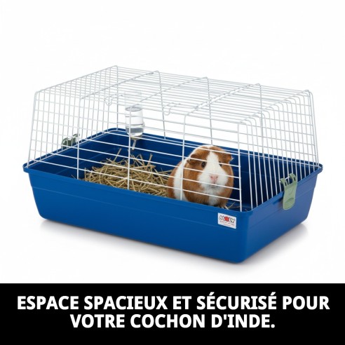 Cage à Cobaye N.1 Démontable 60 x 36 x 32 cm Idéale pour votre Animal de Compagnie