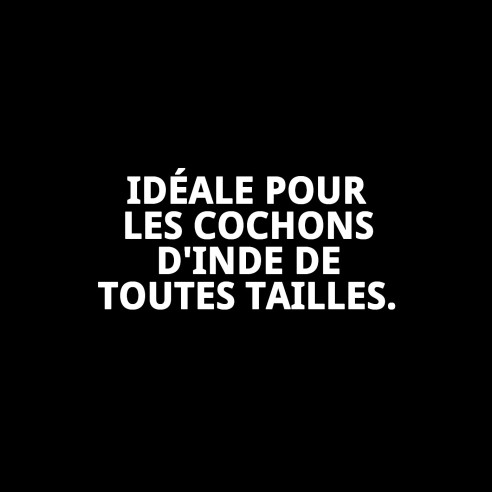 Cage à Cobaye N.1 Démontable 60 x 36 x 32 cm Idéale pour votre Animal de Compagnie