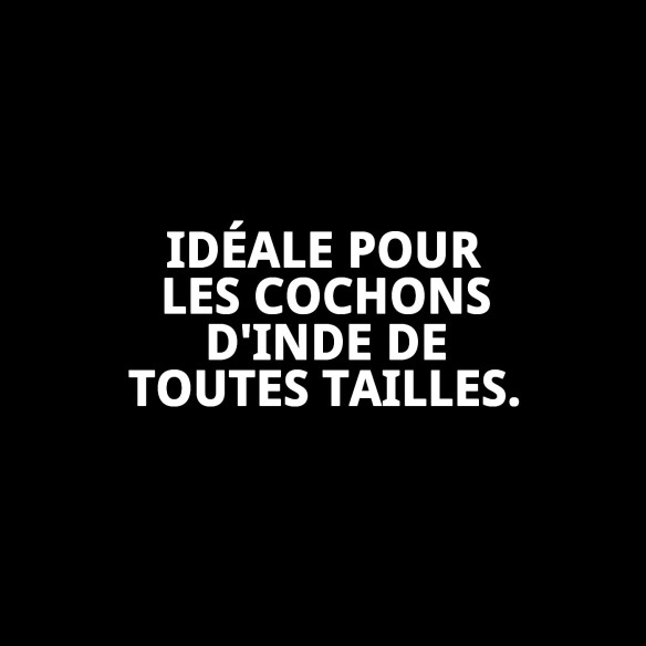 Cage à Cobaye N.1 Démontable 60 x 36 x 32 cm Idéale pour votre Animal de Compagnie