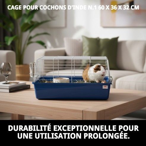 Cage à Cobaye N.1 Démontable 60 x 36 x 32 cm Idéale pour votre Animal de Compagnie