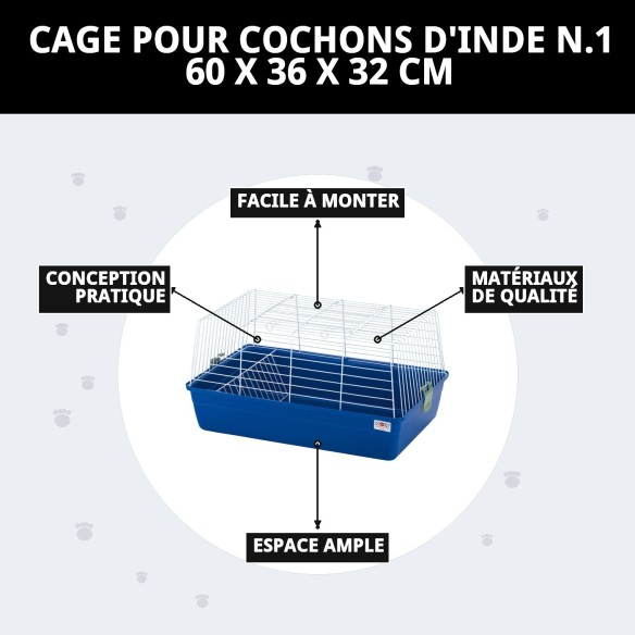 Cage à Cobaye N.1 Démontable 60 x 36 x 32 cm Idéale pour votre Animal de Compagnie