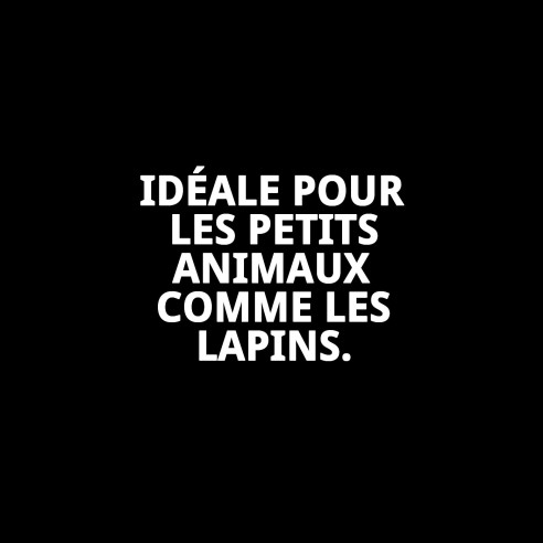 Cage pour Lapins 85x49x38 cm - Confort et Espace