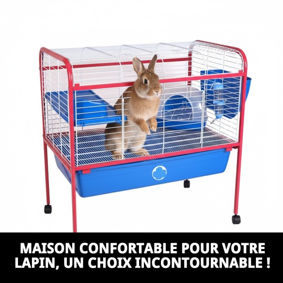 Cage pour Lapin Démontable 88x54x91 cm avec Pied
