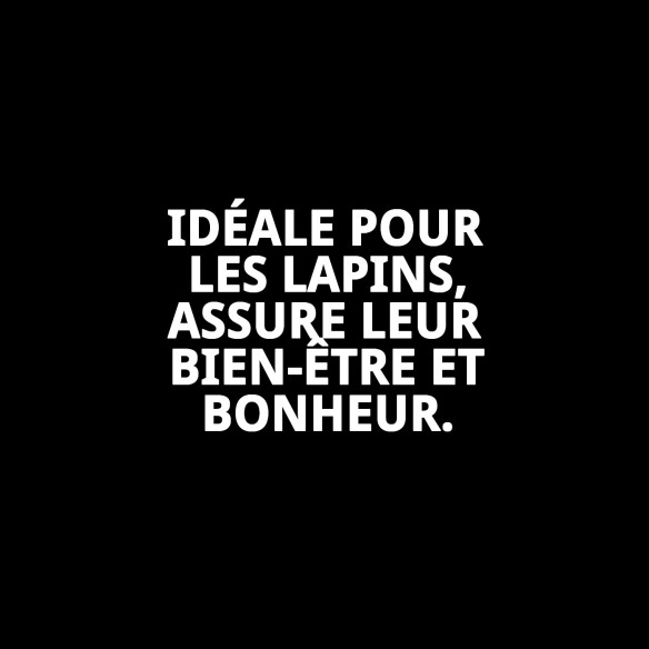 Cage pour Lapin Démontable 88x54x91 cm avec Pied