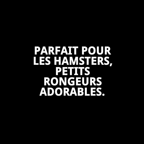 Cage H. Cathy Playland pour hamster : un foyer sûr et amusant.