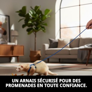 Ensemble Harnais et Laisse pour Furets 110x3 mm - Confort Optimal 2