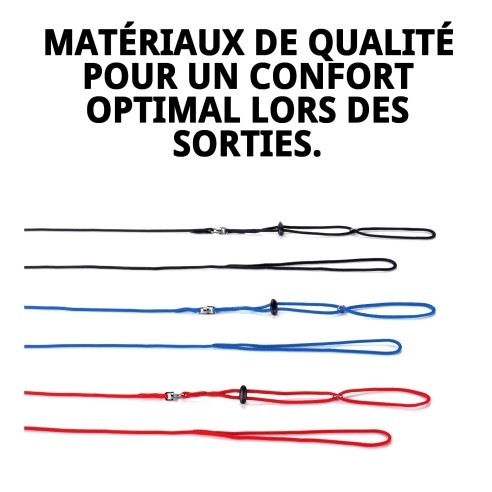 Ensemble Harnais et Laisse pour Furets 110x3 mm - Confort Optimal