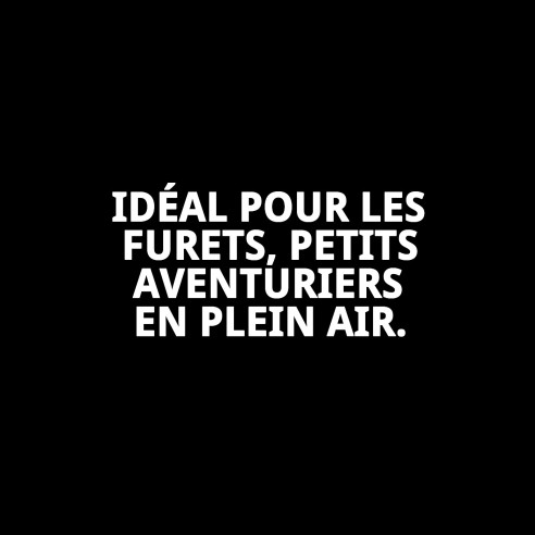 Ensemble Harnais et Laisse pour Furets 110x3 mm - Confort Optimal