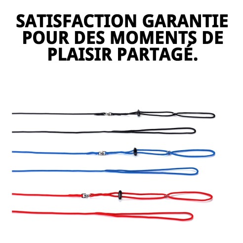 Ensemble Harnais et Laisse pour Furets 110x3 mm - Confort Optimal