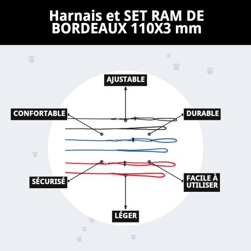 Ensemble Harnais et Laisse pour Furets 110x3 mm - Confort Optimal