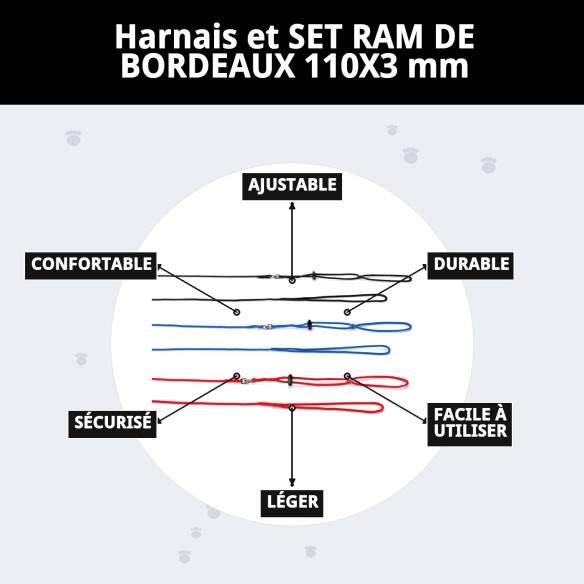 Ensemble Harnais et Laisse pour Furets 110x3 mm - Confort Optimal