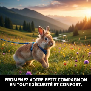 Ensemble Harnais et Laisse pour Lapins et Cobayes 120x8 mm 2