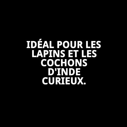 Ensemble Harnais et Laisse pour Lapins et Cobayes 120x8 mm