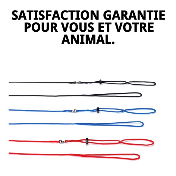 Ensemble Harnais et Laisse pour Lapins et Cobayes 120x8 mm