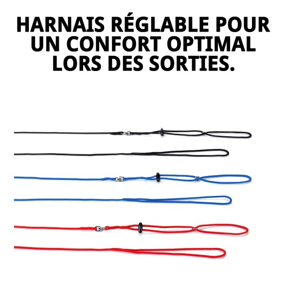Ensemble Harnais et Laisse pour Hamster 120x8 mm - Confort et Style