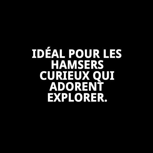 Ensemble Harnais et Laisse pour Hamster 120x8 mm - Confort et Style