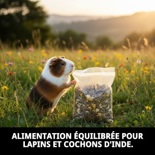 Aliment nutritif pour lapins et cobayes Moly 800g 2