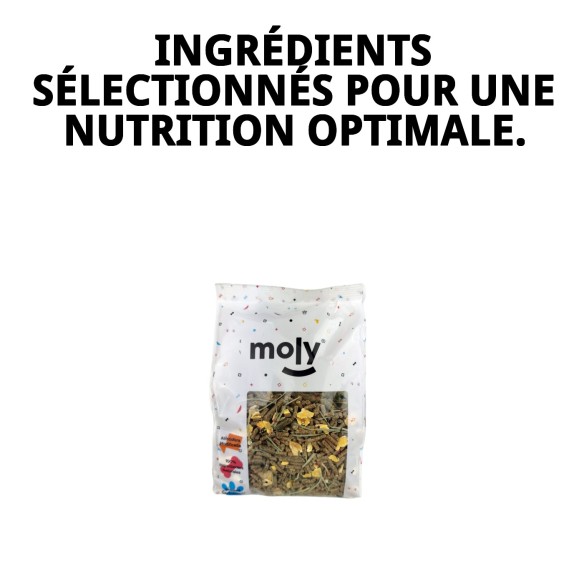 Aliment nutritif pour lapins et cobayes Moly 800g