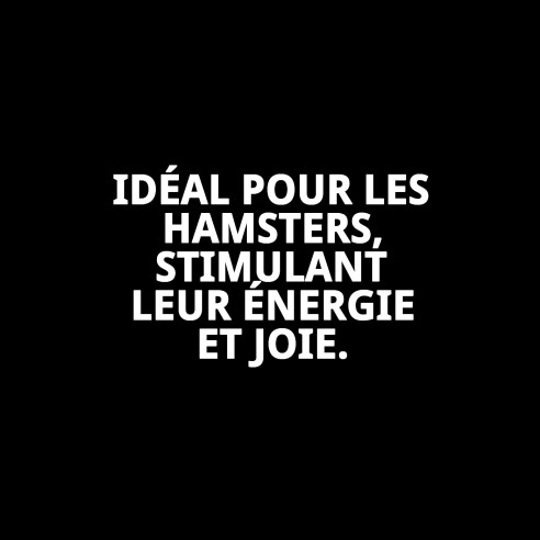 Roulette pour Hamster avec Support - Idéale pour Jouer et S'exercer