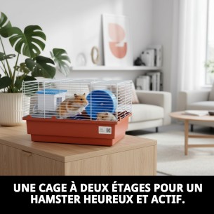 Cage pour hamster à 2 ÉTAGES avec maison et roue à tourner. 2