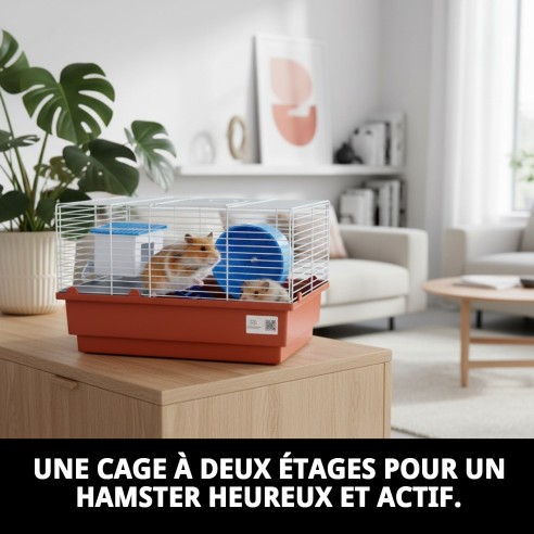 Cage pour hamster à 2 ÉTAGES avec maison et roue à tourner.