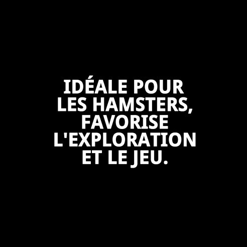 Cage pour hamster à 2 ÉTAGES avec maison et roue à tourner.