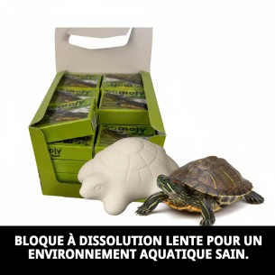 Moly Calcium Tortues Expo: Santé et Bien-être Aquatique 2