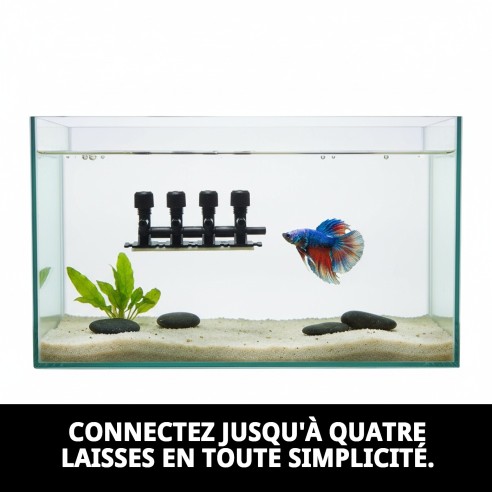 Clé en nylon extra 4 sorties pour animaux de compagnie - Résistante et pratique