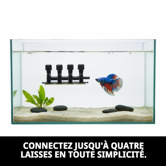 Clé en nylon extra 4 sorties pour animaux de compagnie - Résistante et pratique