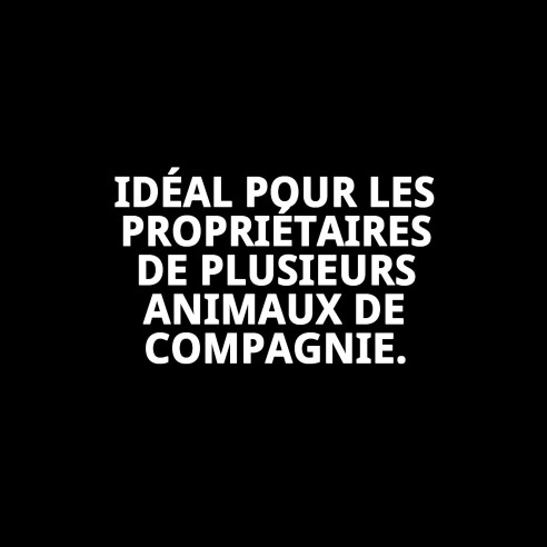 Clé en nylon extra 4 sorties pour animaux de compagnie - Résistante et pratique