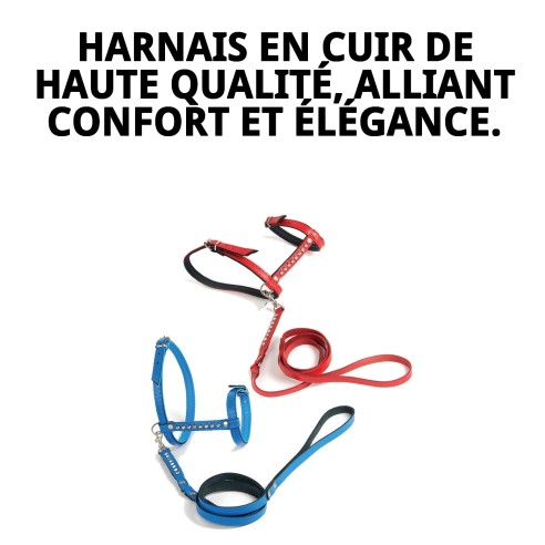 Harnais en cuir rose pour chats - Ensemble de luxe exclusif