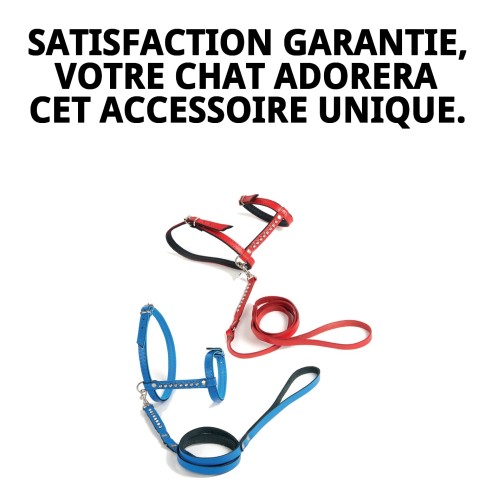 Harnais en cuir rose pour chats - Ensemble de luxe exclusif