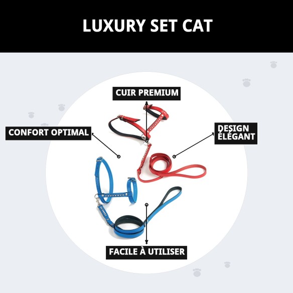 Harnais en cuir rose pour chats - Ensemble de luxe exclusif