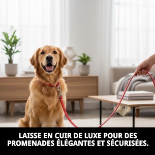 Correa en cuir Luxury Reflect 1,3x130 cm pour animaux de compagnie. 2