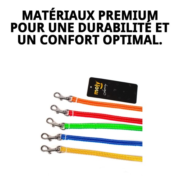 Correa en cuir Luxury Reflect 1,3x130 cm pour animaux de compagnie.