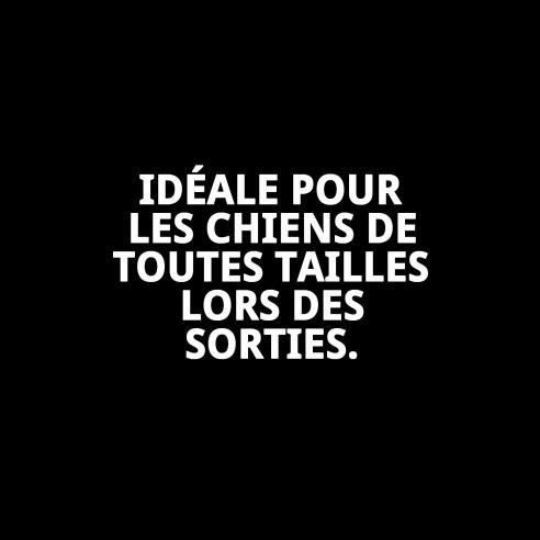 Correa en cuir Luxury Reflect 1,3x130 cm pour animaux de compagnie.