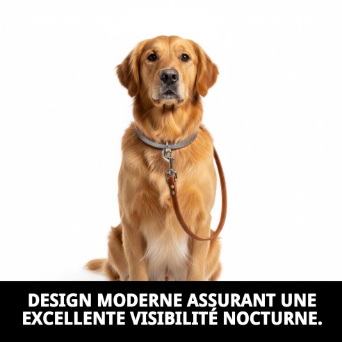 Correa en cuir Luxury Reflect 1,3x130 cm pour animaux de compagnie.