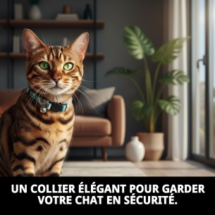 Collier pour Chat Spring Urban - Design avec Clochette Élégant 2