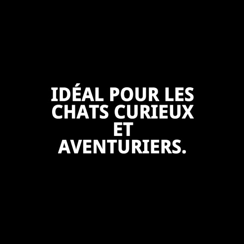 Collier pour Chat Spring Urban - Design avec Clochette Élégant