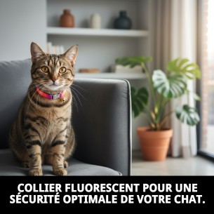 Collier pour chat fluorescent Moly : Sécurité et style 2