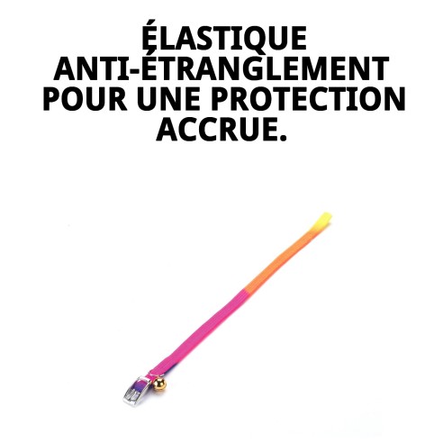 Collier pour chat fluorescent Moly : Sécurité et style