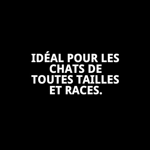 Collier pour chat fluorescent Moly : Sécurité et style