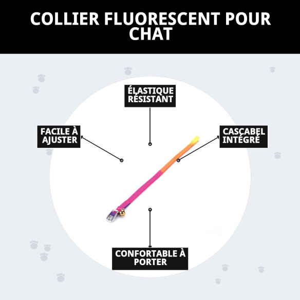 Collier pour chat fluorescent Moly : Sécurité et style