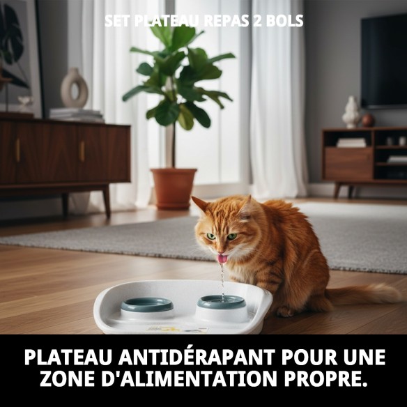 Dîner Set Plateau avec 2 Bols pour Animaux Élégant