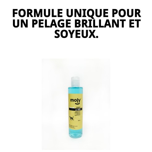 Shampooing Désodorisant pour Chats 250ml - Douceur et Brillance