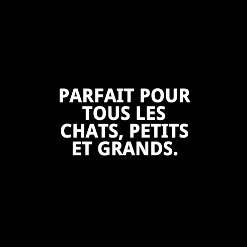 Shampooing Désodorisant pour Chats 250ml - Douceur et Brillance