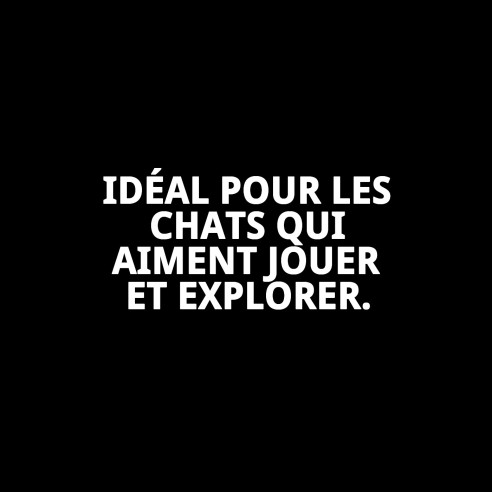 Casita Cathy Griffe : Refuge Accueillant pour votre Animal de Compagnie