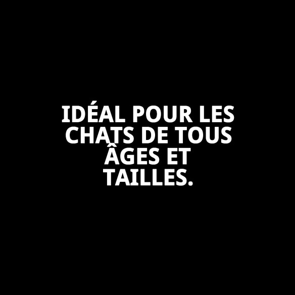 Canne interactive de 40 cm avec petit poisson pour le divertissement des animaux de compagnie.